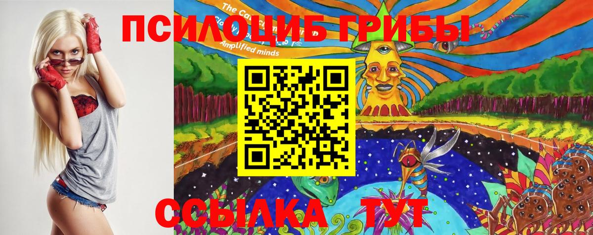 Галлюциногенные грибы Cubensis Новоуральск